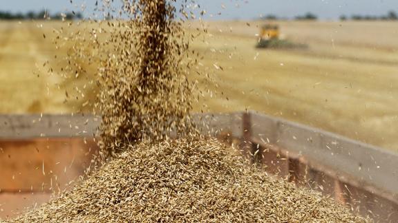 На Ставрополье аграрии двух районов получили на 100 процентов продовольственное зерно