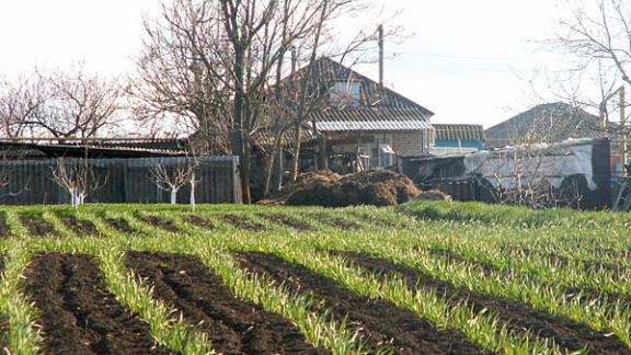 На Ставрополье сельских чиновников обвиняют в махинациях с землёй в период с 2010 по 2012 годы