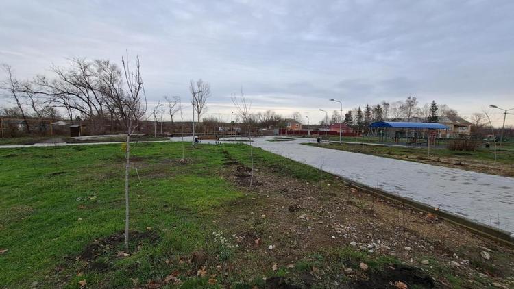 Более 40 деревьев высадили в парковой зоне села Раздольного на Ставрополье