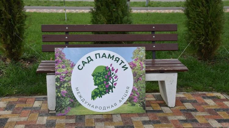 На Ставрополье проходят субботники под эгидой партпроекта «Чистая страна»