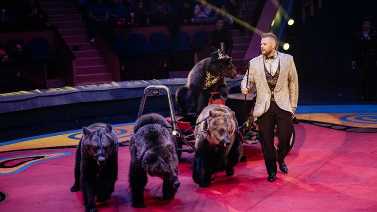 Цирк Филатовых с дрессированными медведями выступит в Кисловодске