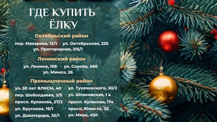 Жителям Ставрополя рассказали, где купить новогоднюю ёлку