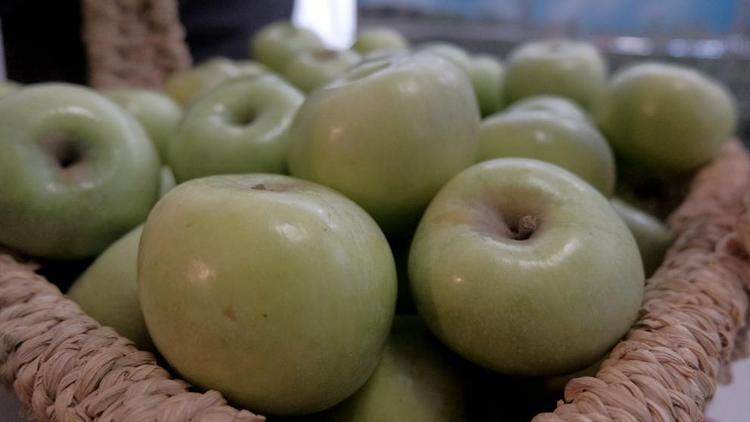 Садоводы Ставрополья заложили яблоки на новый сезон хранения