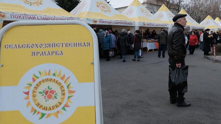 Две ярмарки выходного дня развернутся в Ставрополе