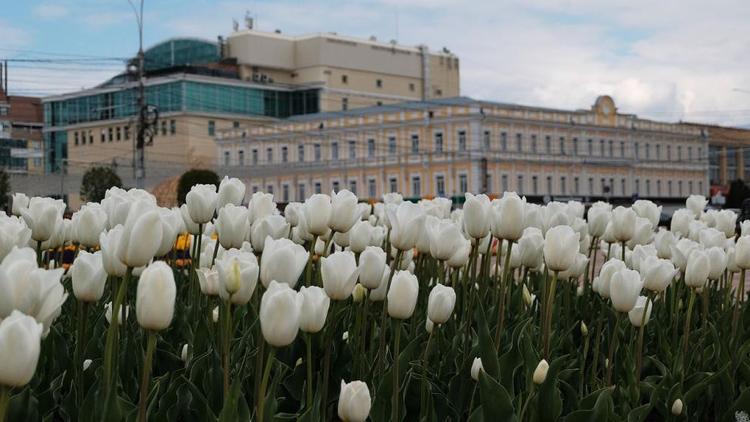 Туристы выбирают Ставрополь для прогулок, КМВ - для отдыха