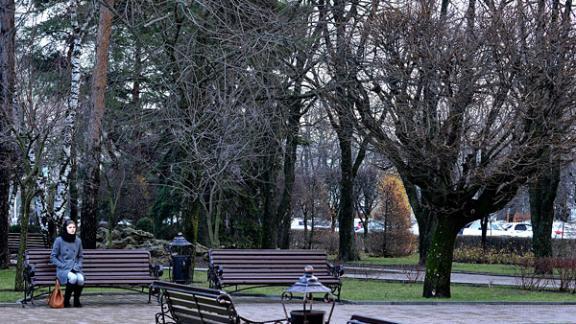 В Будённовске проведут благоустройство парка имени Гагарина
