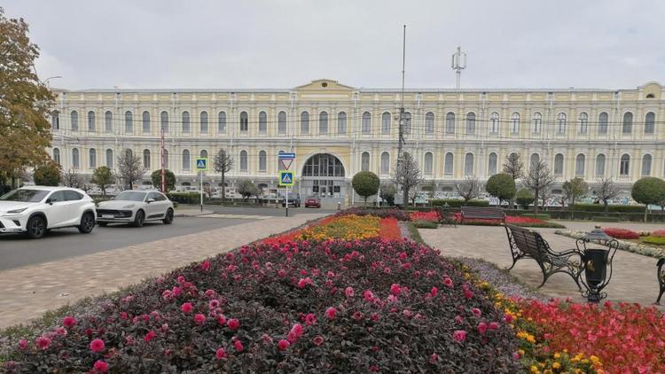 На Ставрополье эти дни - самое подходящее время для посадки хризантем 