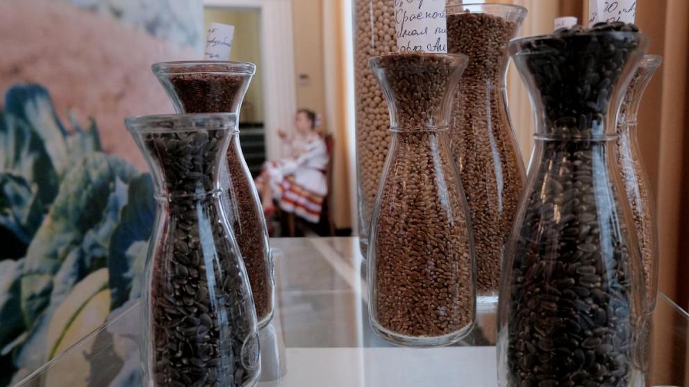 Успешное фермерское хозяйство начинается с надежных семян