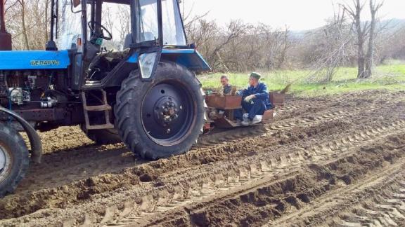 Зелёное богатство степного Ставрополья