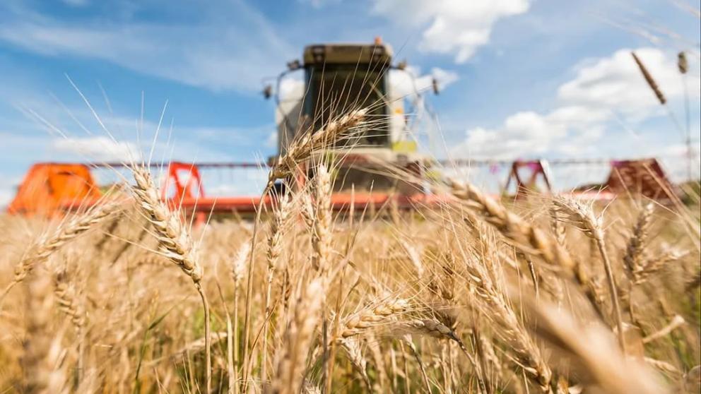 Фермеры Ставрополья за прошлый год получили свыше 440 млн рублей господдержки