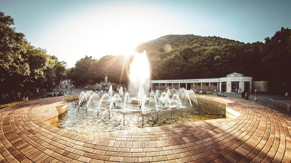 Акции в поддержку бойцов СВО пройдут на Кавминводах в День народного единства