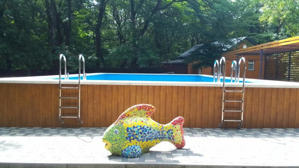 Губернатор Владимиров поручил проверить безопасность отдыха детей в лагерях