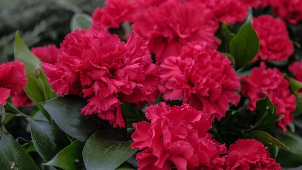 Артисты из Севастополя дали спектакль в ставропольской школе