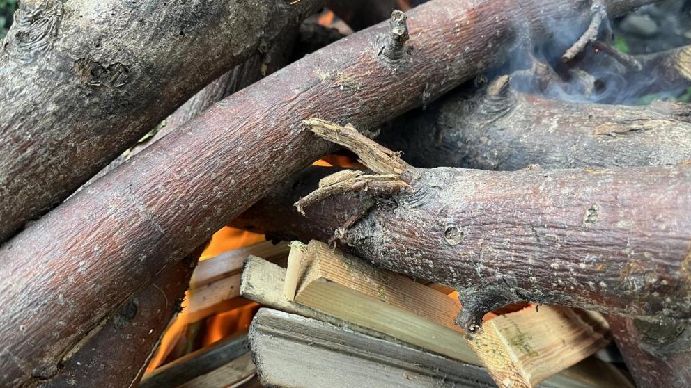 В Пятигорске предлагают 1 млн рублей за информацию о поджигателях горы Машук