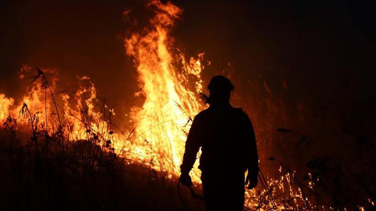 Крупный пожар тушат в Предгорном округе Ставрополья