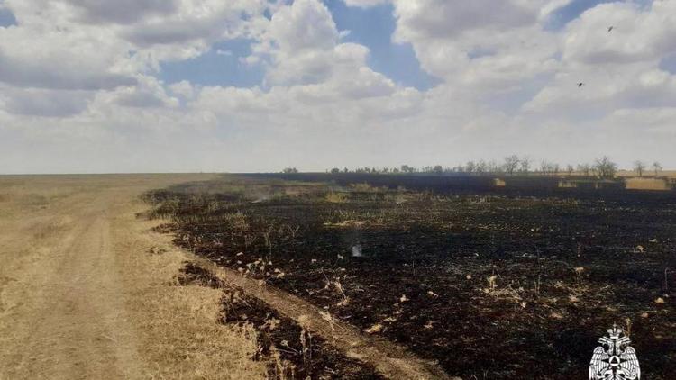 Огонь уничтожил 50 гектаров пшеницы в Туркменском округе Ставрополья