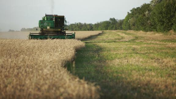 На Ставрополье хлеба обмолочены на 78 процентах уборочной площади, получено 5,8 млн тонн зерна
