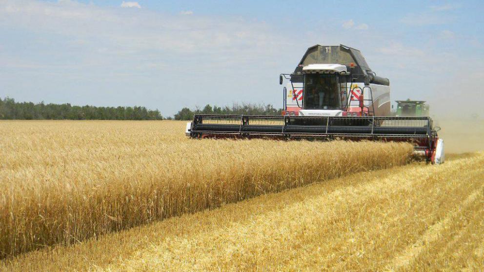 Губернатор Владимиров: На Ставрополье собрали первый миллион тонн зерна