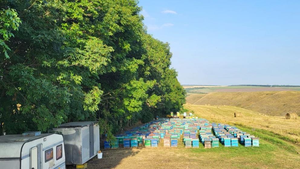 В Предгорном округе Ставрополья открыт сезон сбора мёда