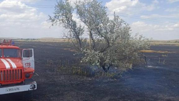 Сразу два пожара на полях за сутки потушили в Ставропольском крае