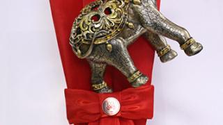 «Золотой слон» появился у ставропольского «Билайна»