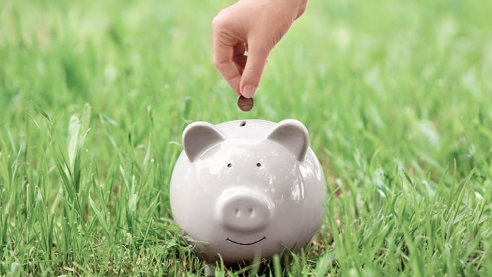 Ставропольчане более чем в 2,5 раза увеличили объемы своих вложений