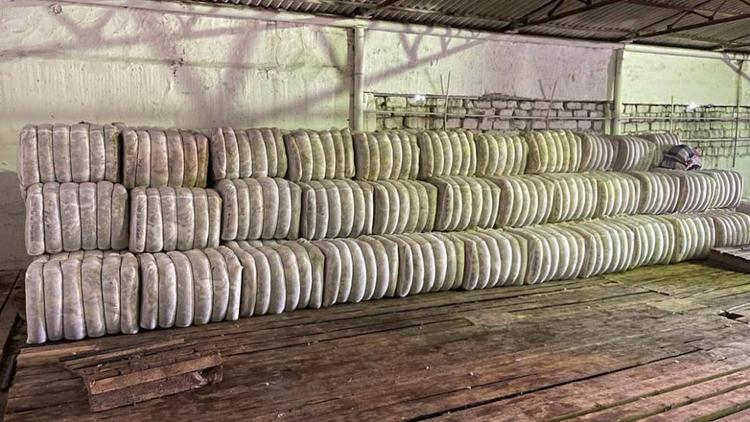 Ставропольские овцеводы настригли две тысячи тонн шерсти