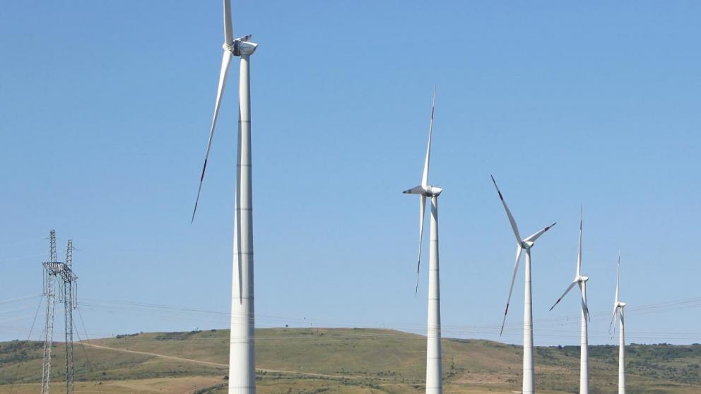 Кочубеевский округ Ставрополья хотят сделать самой зелёной территорией России