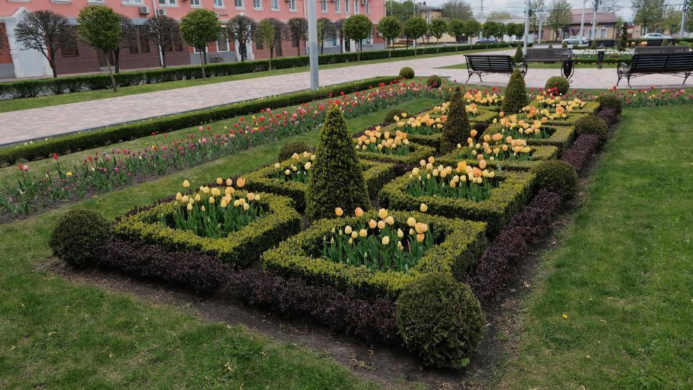 В Ставрополе для ухода за городскими клумбами закупят ещё две поливальные машины