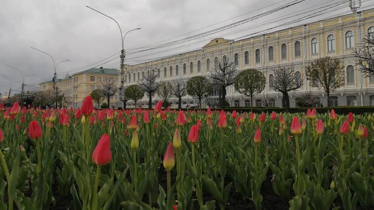 На Ставрополье выделено более 450 млн рублей на содержание музеев