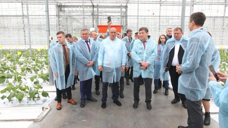 Ещё одну очередь круглогодичных теплиц запустят на Ставрополье