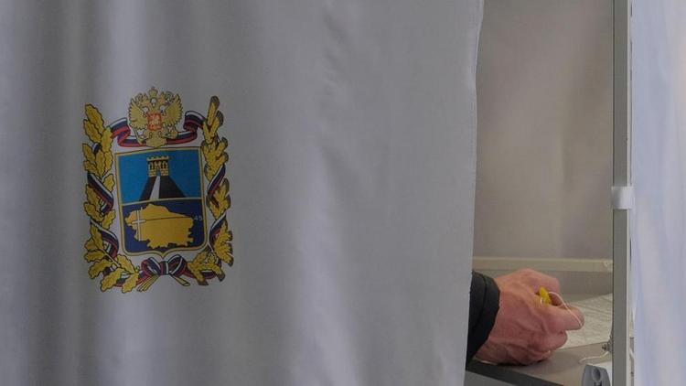 Коллектив кисловодского цирка принял участие в выборах