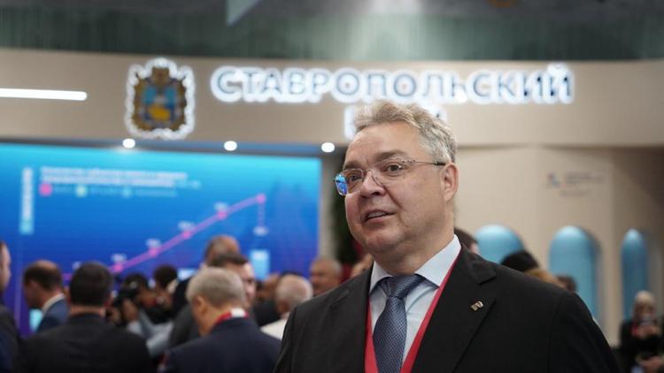Эксперт: Губернатор Владимиров успешно продвигает интересы Ставрополья на КИФ