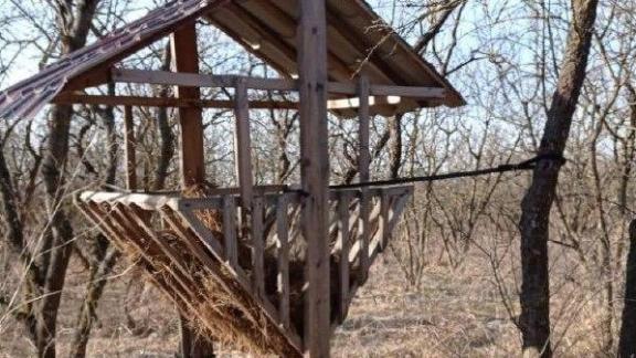 В охотничьих хозяйствах Ставрополья подкармливают диких животных и птиц