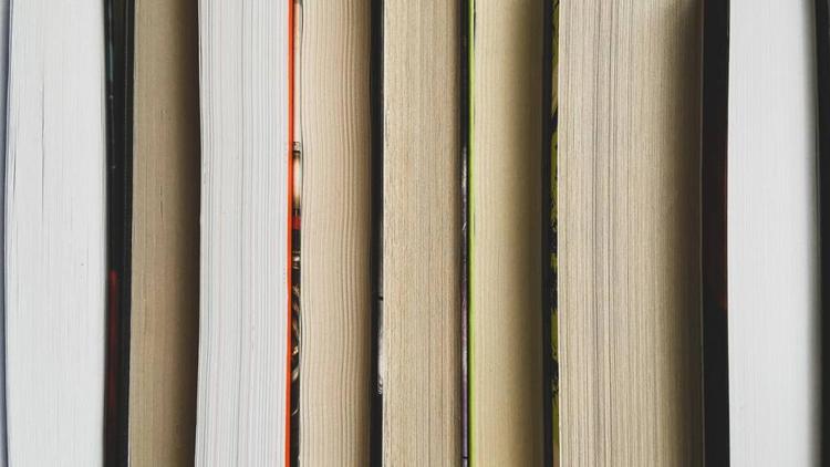 Более 1,6 миллиона книг выдали читателям библиотеки Ставрополя в 2023 году
