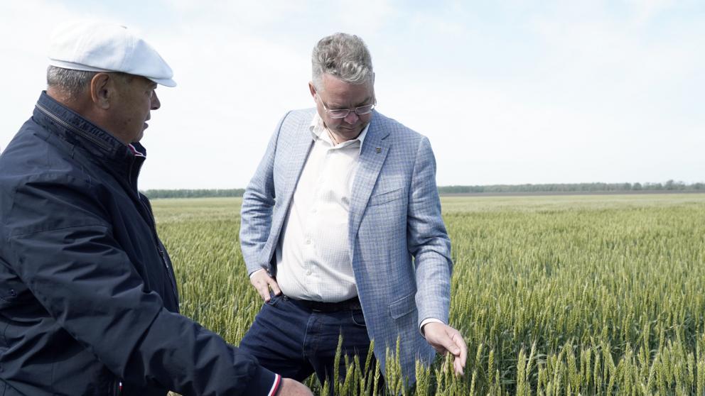 Глава Ставрополья: Край должен полностью обеспечивать свои потребности в семенах