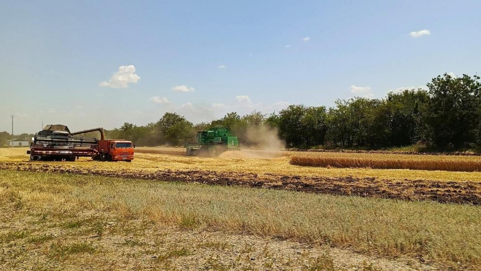 Губернатор Владимиров: на Ставрополье в 2025 году собрали 10,6 млн тонн зерна