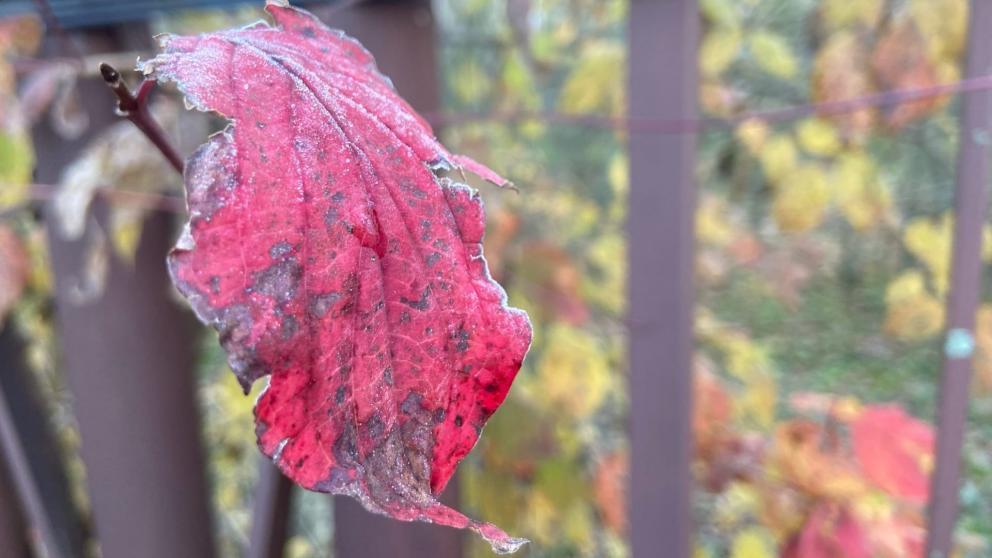 Губернатор Ставрополья поручил подготовиться к похолоданию