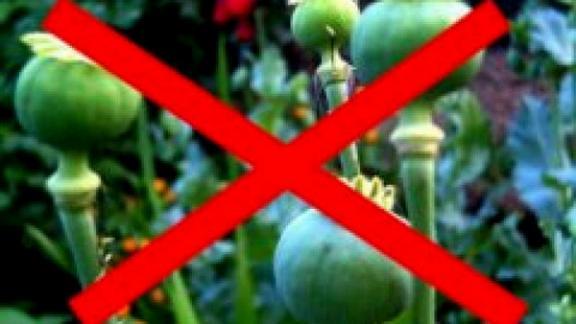 Итоги операции «Мак» подвели в Невинномысске