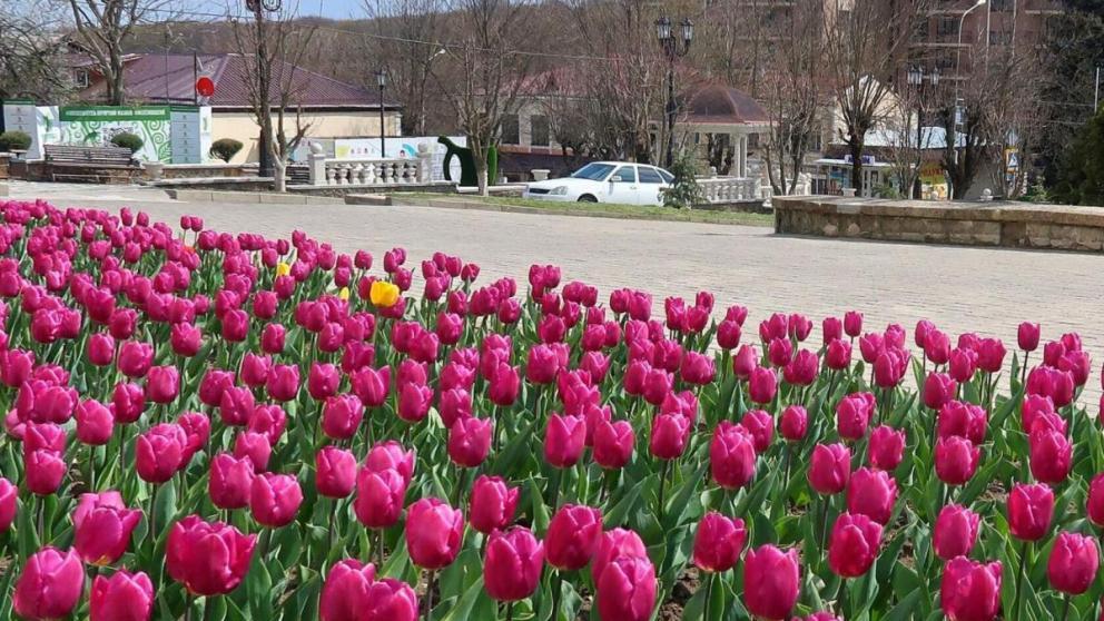 В Железноводске после пандемии стартуют масштабные субботники