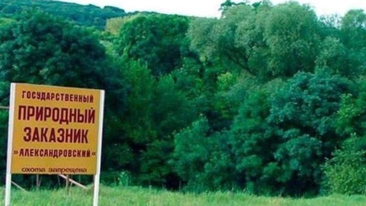 Ставрополье готовится к лесокультурному сезону