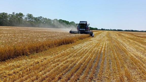 В Грачёвском округе Ставрополья уборочная страда завершилась рекордом