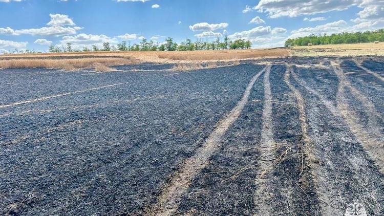 В посёлке Озерки на Ставрополье горели 1,5 гектара пшеницы