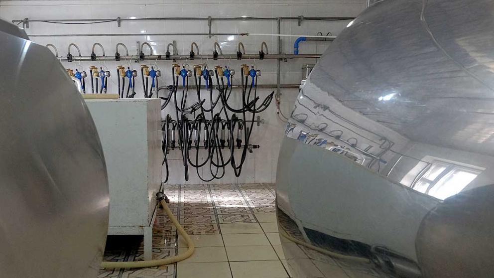 Предприятия животноводства и переработки на Ставрополье работают бесперебойно