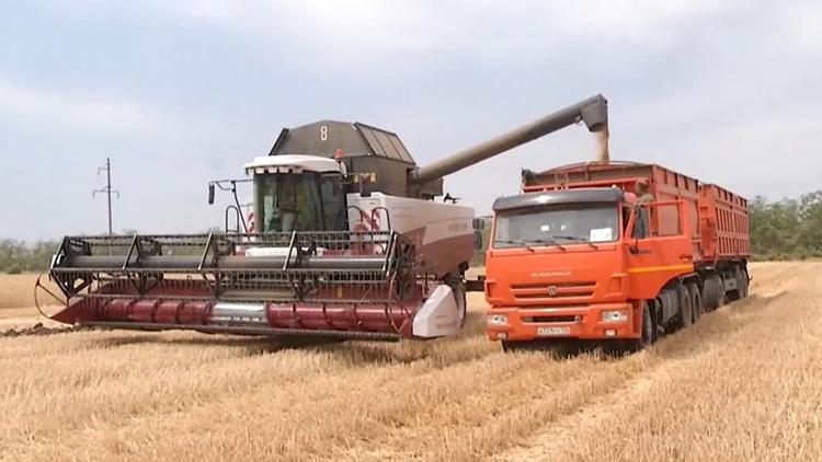 Уборка зерновых завершена в Апанасенковском округе Ставрополья