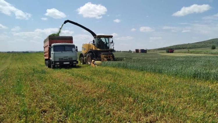 Ставропольские аграрии заготавливают корма