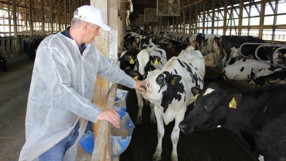 На Ставрополье наращивают производство молока