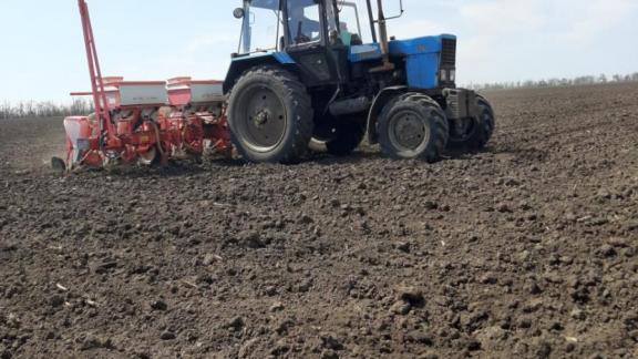 Георгиевский округ закончил сев ранних яровых культур