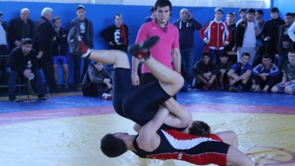 Вольные борцы состязались в Ставрополе