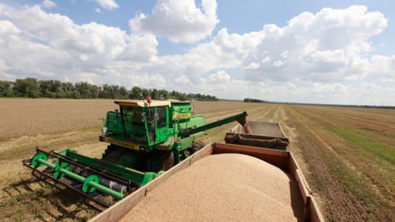 Более 7 миллионов тонн зерновых собрано на полях Ставрополья